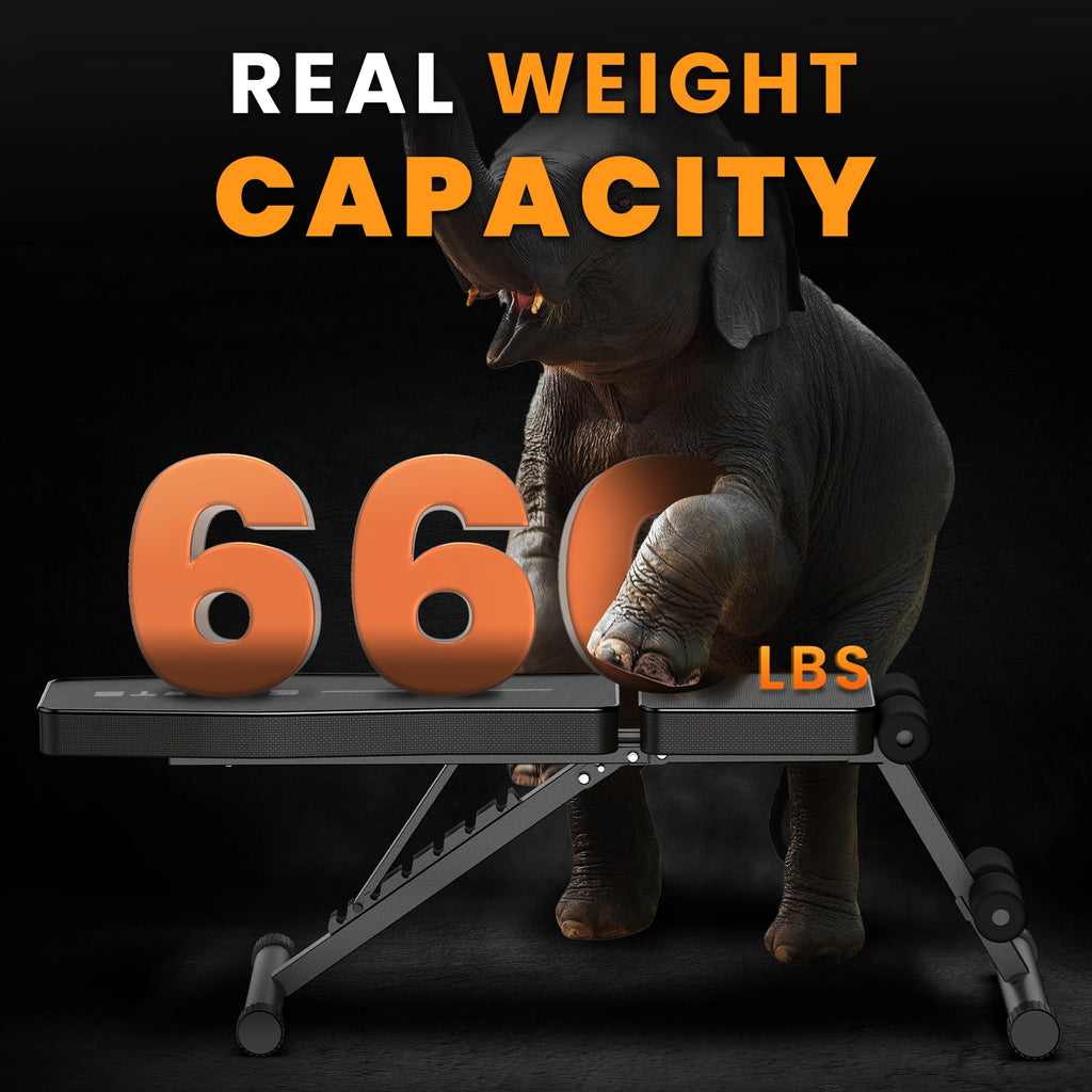 Weight bench ZX-1